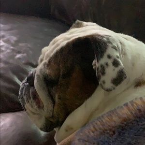 Meet your Posher, Nicholas